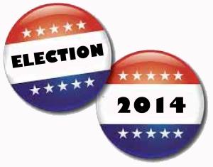 election-2014